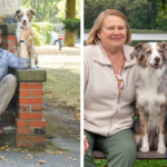 mit wem ist christoph schechinger verheiratet